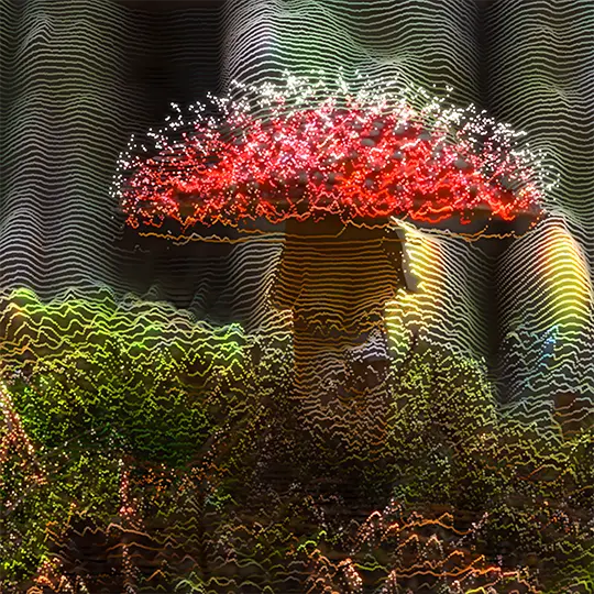 Fungi